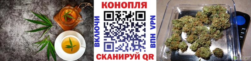Cannafood конопля  закладка  Приволжск 