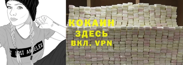 МДПВ Краснослободск