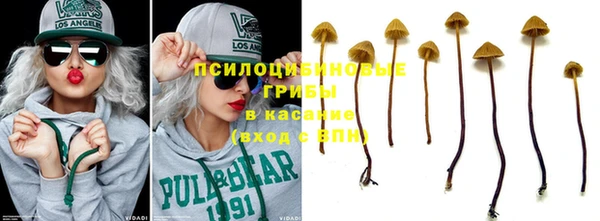 шишки Краснотурьинск