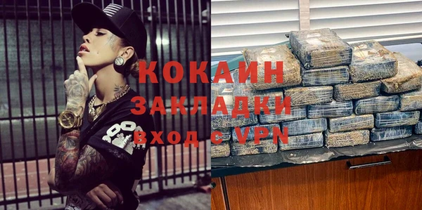 шишки Краснотурьинск