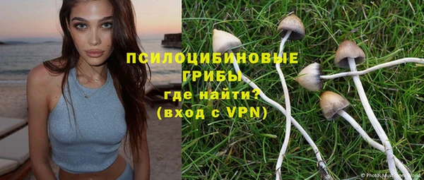 шишки Краснотурьинск