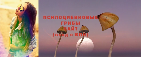 МДПВ Краснослободск