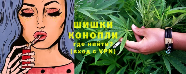 шишки Краснотурьинск