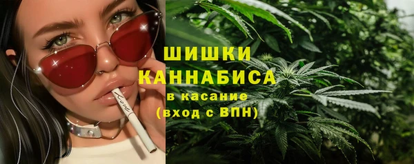 шишки Краснотурьинск